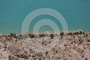Abstract Rock Detail in Natural Pool of Water