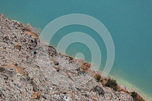 Abstract Rock Detail in Natural Pool of Water