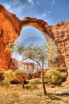 Abstract Rock formation at plateau Ennedi aka Aloba arch in Chad