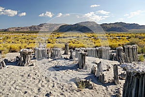 Abstract rock tower. Mono Lake, California