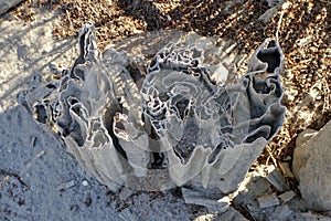 Abstract rock tower. Mono Lake, California