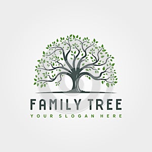 Abstract root tree logo vector illustration design, family tree logo design