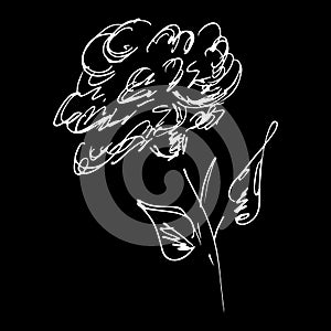 Abstract rose flower outline icon isolated on black background. Hand Drawn  illustration. Rose logo