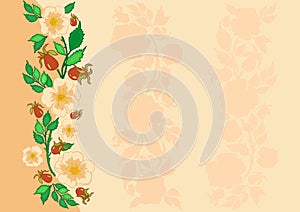 Abstract roses background