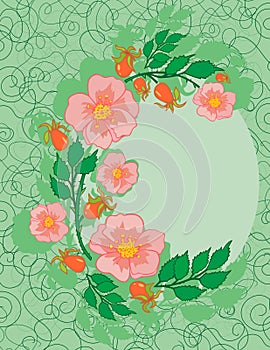 Abstract roses frame