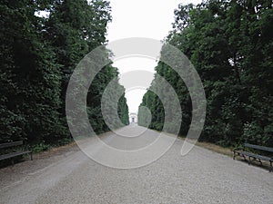 Abstract rural country road in forest, the path into distance