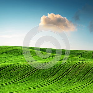 Abstract rural landscape with agricultural fields