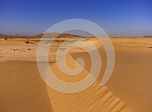 Abstract Sand Dune of the Parque Natural area near Corralejo Fuerteventura