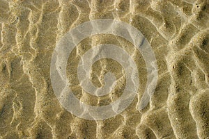 Abstract Sand Pattern