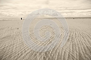 Abstract sand texture by low tide beach scenery with couple and dog, monochrome image photo