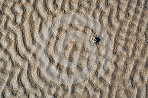 Abstract sandworm pattern