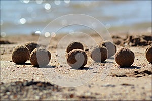 Abstract sandy balls on the sandy beach