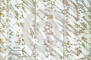 Abstract scartch on white painted on wooded