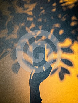 Abstract of photographing tree in shadow