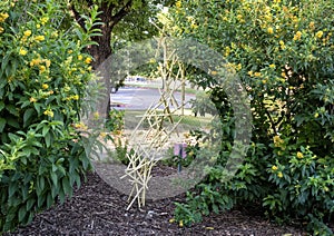 Abstract sculpture with many small yellow pipes tangles and suspended, appearing to defy gravity in Dallas