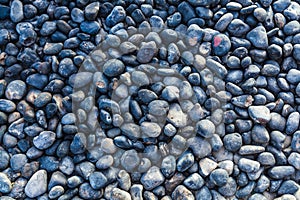Abstract sea stone texture. sea pebbles