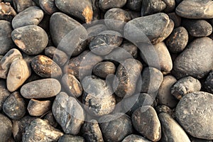 Abstract sea stone texture. sea pebbles