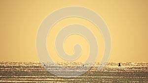 Abstract sea summer ocean sunset nature background. Small waves on azure water surface in motion blur with golden bokeh