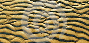 Abstract seabed floor golden sand beach background photo
