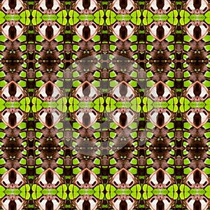 abstract seamless butterfly wing pattern