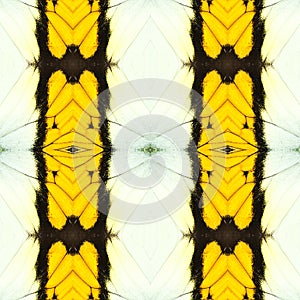 abstract seamless butterfly wing pattern