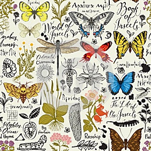 Abstract seamless pattern with insects and medicinal herbs