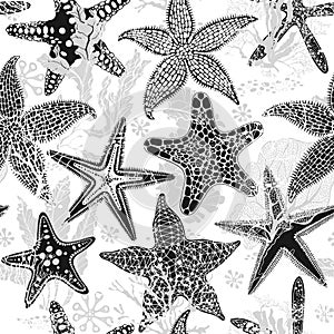 Abstract seamless pattern on the marine theme with underwater plants, starfish on white background. Vector. Perfect for design