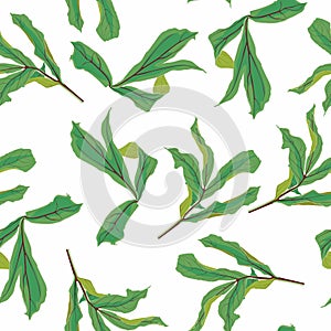 Abstract seamless tropical pattern with dark green colorful leaves on white background.