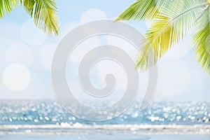 Abstract seascape with palm tree, tropical beach background