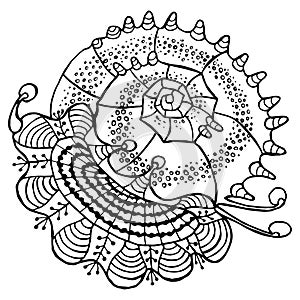 Abstract seashell line ethnic decorative ornament drawn outline on white background sacred geometric decor element design