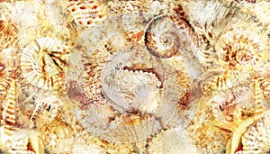 abstract seashell montage effect in warm earth tones