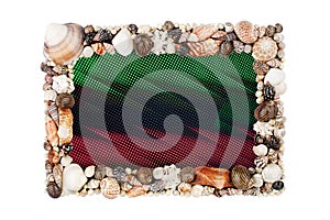 Abstract seashells digital picture frame broken screen white background isolated, electronic photo frame no image on display