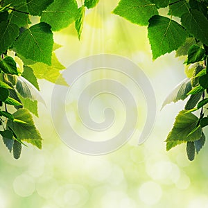 Abstract seasonal backgrounds