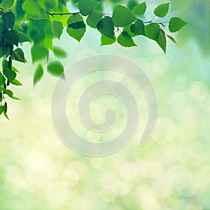 Abstract seasonal backgrounds