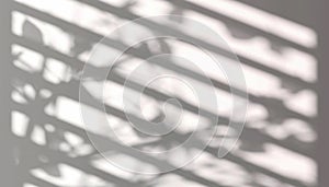 Abstract shadow of foliage and blinds background