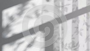 Abstract shadow of foliage and curtain background