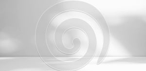 Abstract Shadow Leaves Gray Cement Room Stodio Background