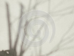 Abstract shadow lines over cement wall background for mock up