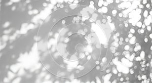 Abstract Shadows of Leaves on a White Textured Surface