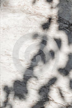 Abstract shadows on marble surface with soft natural patterns