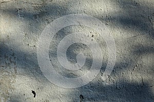 Abstract shadows of tree branches on grayish plaster wall with irregular