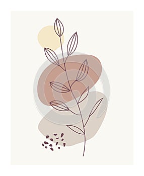 Abstract shapes  with floral elements