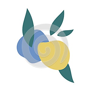 Abstract shapes fruit inspiration. Hand drawn organic shapes. Vector illustration, flat design