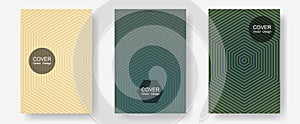 Abstract shapes of multiple lines halftone patterns.