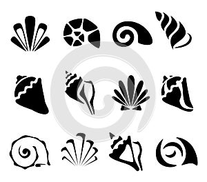 Abstract shell symbol set photo