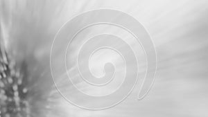 Abstract shiny silver animated background. Seamless loop