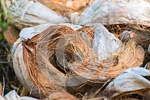 Abstract shot of coconut shells and palm trees