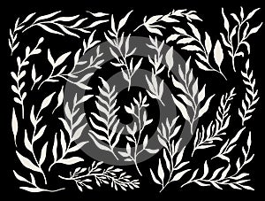 Abstract silhouette branch leaves nature set collection hand drawn. Ethnic ornament, floral print, textile fabric