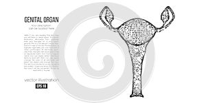 Abstract silhouette of the polygonal genital organ of woman. Research and diagnosis of the genital organ of woman.