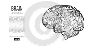 Abstract silhouette of the polygonal head, brain. Process of human thinking. Research and diagnosis of the human brain.